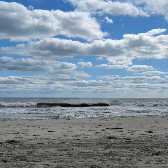 Meet your Posher, Dani - Picture 4 of 4